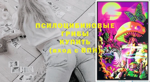 эйфоретик Белокуриха