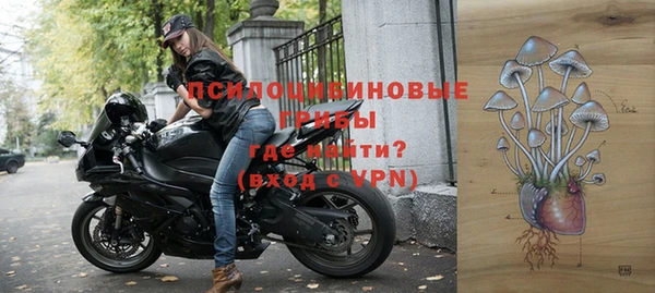 твердый Богданович