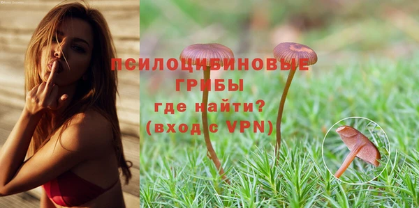 твердый Богданович