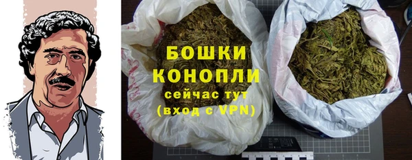 амф Богородицк