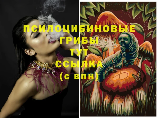 амф Богородицк